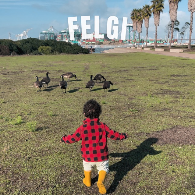 Felgi